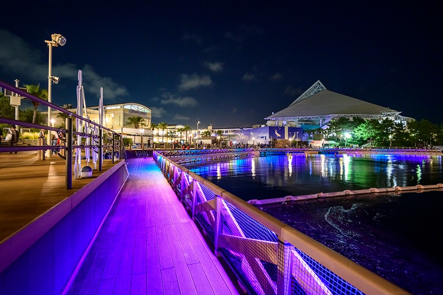 橫濱八景島海島樂園：2